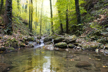 Stream in a mountain gorge in the autumn forest. Beautiful autumn landscape.