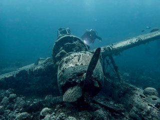 Jake Seaplane Wreck Underwater WW2 Relic with Diver - obrazy, fototapety, plakaty