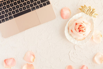 Pink gold laptop on office table desk with roses flowers and petals isolated on white background with concrete texture