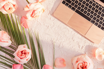 Flat lay of stylish composition with tropical palm leaf, pink rose flowers, on pastel background with shadows and sun light. Top view of feminine rose gold desk with laptop