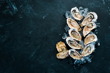 Oysters with ice and lemon on black stone background. Seafood. Top view. Free copy space.