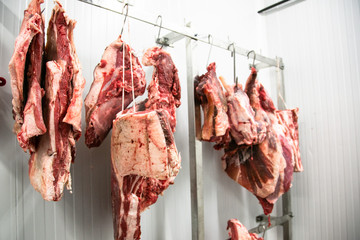Cámara frigorífica con carne en ganchos colgada 