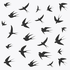 martlet