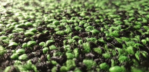 Green Palace Green carpet. Woven carpet