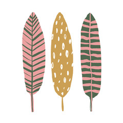 Vector floral elements, poster with tropical leaves