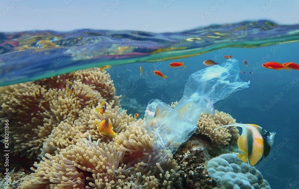 Wall mural the world ocean pollution. beautiful tropical coral reef with sea anemones, clownfish and colorful c