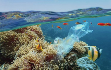 The world ocean pollution. Beautiful tropical coral reef with sea anemones, clownfish and colorful...