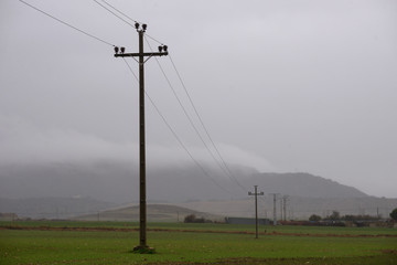Fototapeta na wymiar Poles of light and telephone in the middle of farmland in the province of Alava, Basque Country, on a winter morning