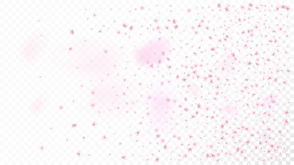 Nice Sakura Blossom Isolated Vector. Watercolor Flying 3d Petals Wedding Design. Japanese Funky Flowers Wallpaper. Valentine, Mother's Day Beautiful Nice Sakura Blossom Isolated on White © graficanto