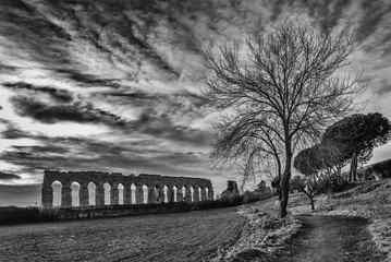 acquedotto romano sotto un cielo suggestivo con albero solitario