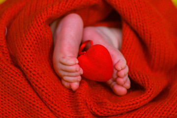 Red heart on baby legs. The legs of the newborn on a red background. A baby wrapped in a red blouse. Valentine's Day