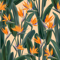Crane flower pattern. Strelitzia floral wallpaper.