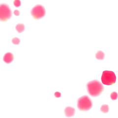 Pink rose petals falling vector valentine background.