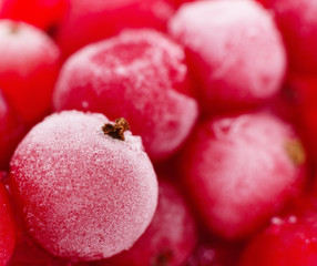 Red currant berries.Frosted.