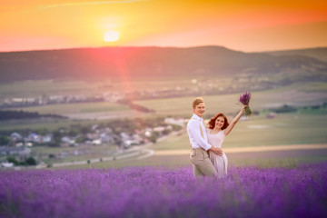 Lavender flowers blooming field and two trees uphill. Valensole, Provence, France, Europe.