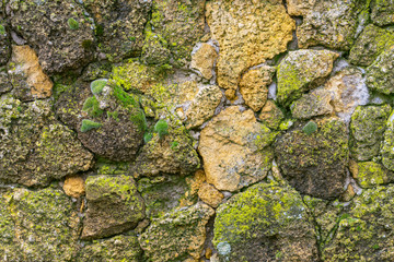 Stone wall with moss close up