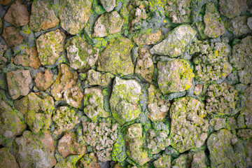 The texture of the stone surface with moss