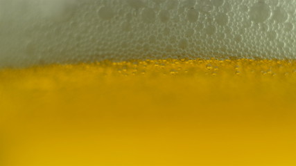 Beer is poured in a mug on an isolated background celebration