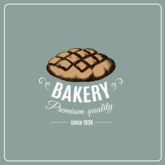 Hand drawn illustration of bread isolated . Bakery product. Template for poster business card banner label and icon for bakery shop and menu. Bakery hand sketched.