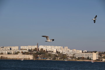SEVASTOPOL .KRIMEA. RUSSIA!!!
