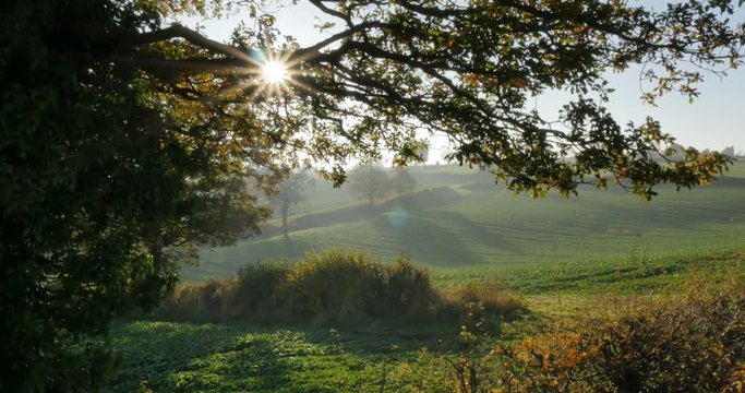 Autumn colors near Hardwick Park, Derbyshire, England, United Kingdom, Europe  