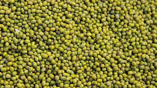 mung beans background