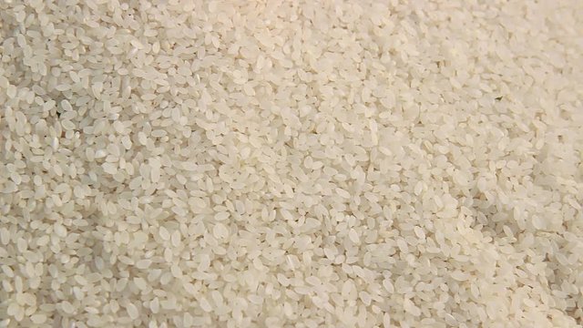 Thai Jasmine Rice on the market