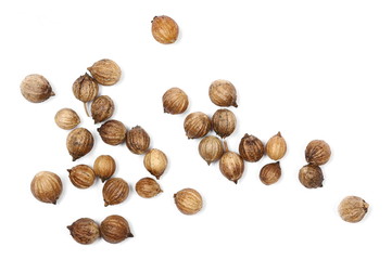 Coriander seeds macro isolated on white background, top view