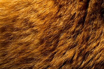 texture of fur