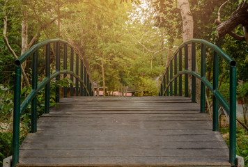 The green bridge in public park with trees