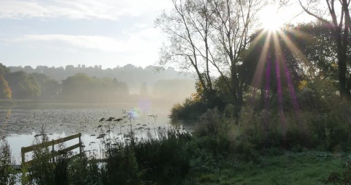 Autumn colors in Hardwick Park, Derbyshire, England, United Kingdom, Europe  