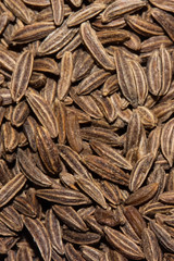 Caraway Seeds