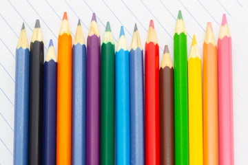 Color pencil in profile, standing up. Back to school. School material for learning. Space for text