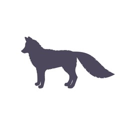 Silhouette of fox