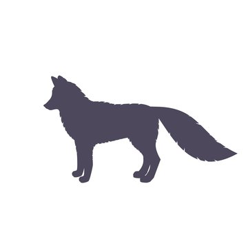 Silhouette of fox