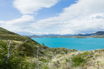 Fototapeta na wymiar Lake Pehoe view, Torres del Paine, Chile