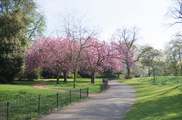 London Park