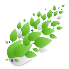 The background image of the green leaves located on Dmagonali. Backdrop for an article on ecology, clean products, spring or summer.