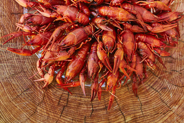 Crawfish cooked and served on wooden background