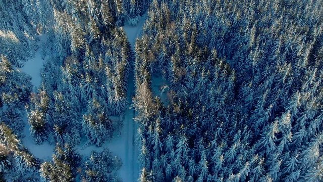 Flug &uuml;ber Winterwald