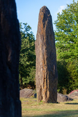 Menhirs et m&eacute;galithes - site m&eacute;galithique de Monteneuf en Bretagne