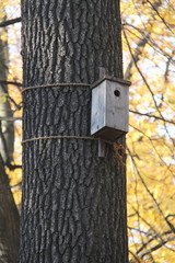 Artificial house made of wood for wild birds made by man whist on a tree in autumn forest