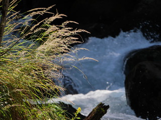 Горная речка