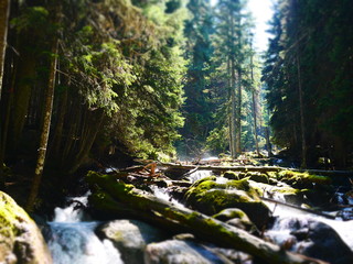 Горная речка