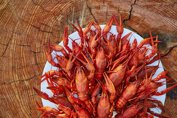 Crawfish cooked and served on wooden background