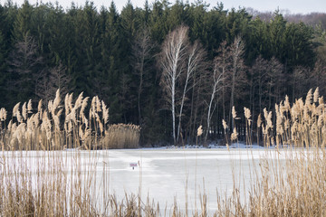 Winter landscape with frozen lake © Emil