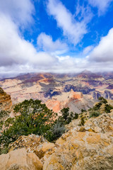 Naklejka premium Grand Canyon South Rim mit Morgennebel