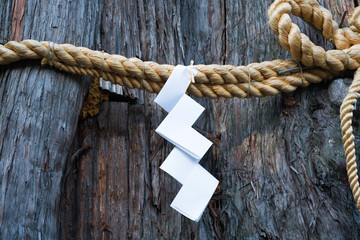 御神木　しめ縄と紙垂