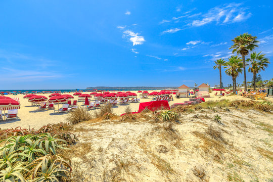 Beach umbrellas and red loungers in Coronado Central Beach along Ocean Boulevard. Sand dunes and palm trees on Pacific Ocean, Coronado Island, San Diego. Summer season in West Coast, California, USA.