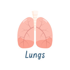 Healthy Lungs Internal Organ, Human Anatomy Vector Illustration